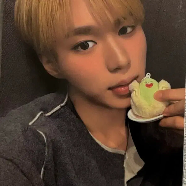 [BUNJANG] ALD1 Kim Junseo Photocard / 알파드라이브원 알디원 ALD1 하이디라오 김준서 포카