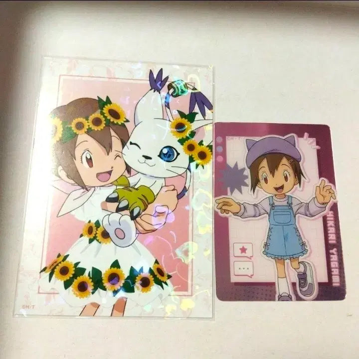 [BUNJANG] Digimon Adventure Narri Takayama & Gatomon Postcard Set (2 pcs) / 디지몬 어드벤처 나리  신나리 가트몬 엽서 포카 2장 일괄 포스트 카드