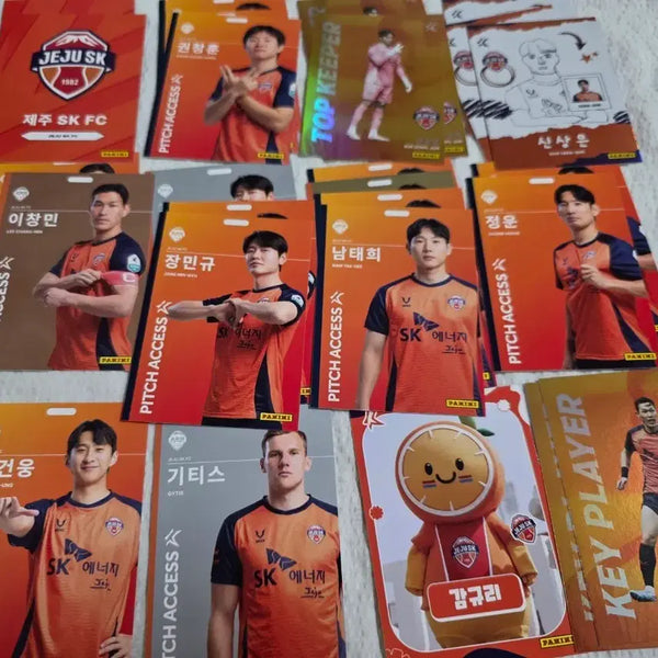 [BUNJANG] Jeju United FC Player Card Bundle Set / 제주 유나이티드 선수 카드 일괄 파니니