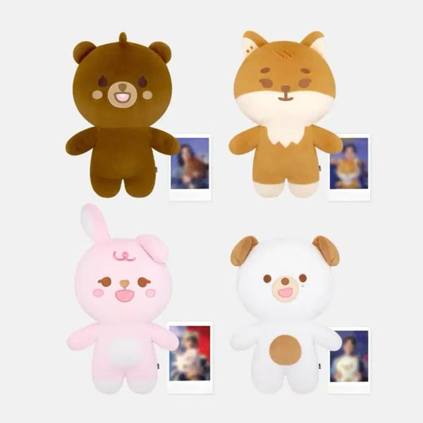 [BUNJANG] Day6 Young K Petit Merz Don Original Price Transfer / 데이식스 자이언트 쁘띠멀즈 돈 도운 자쁘멀 돈 원가양도
