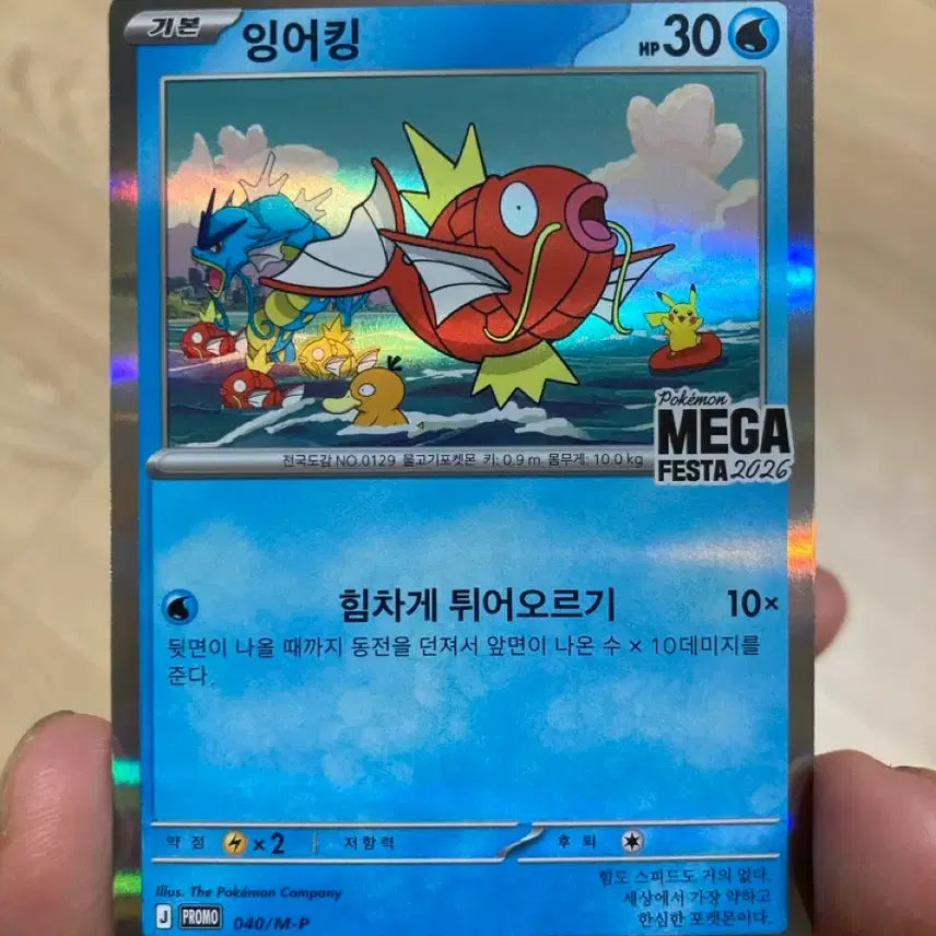 [BUNJANG] Magikarp Promo Card / 상태좋음)포켓몬카드 잉어킹 프로모 카드 팝니다.