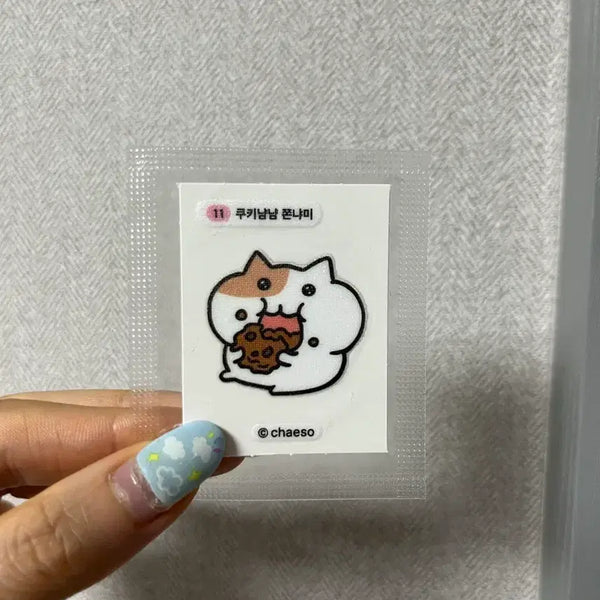 [BUNJANG] Jjonnyami Sticker Set / 쫀냐미 띠부씰