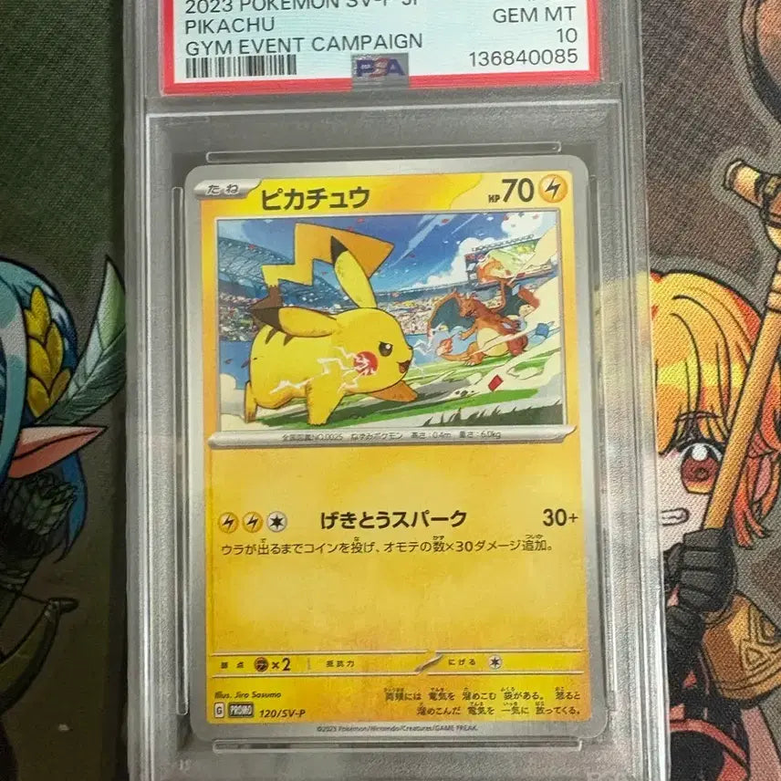 [BUNJANG] Pikachu & Charizard Gym Promo PSA 10 Graded Card / 피카츄&리자몽 짐프로 PSA 10등급 판매