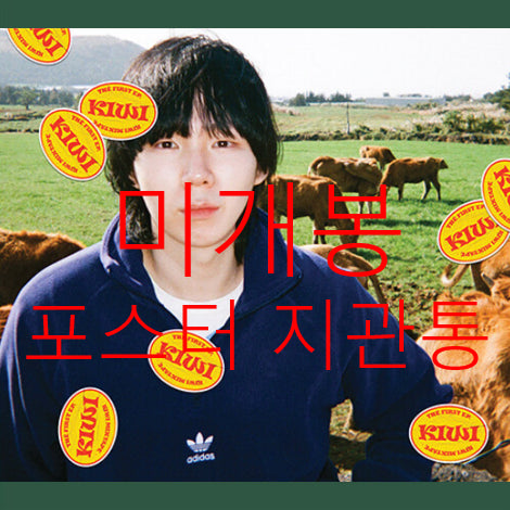 [BUNJANG] I'll Kiwi Mixtape (Sealed) CD with Poster / [미개봉] 아일 (I'll) - Kiwi Mixtape (포스터 포함)