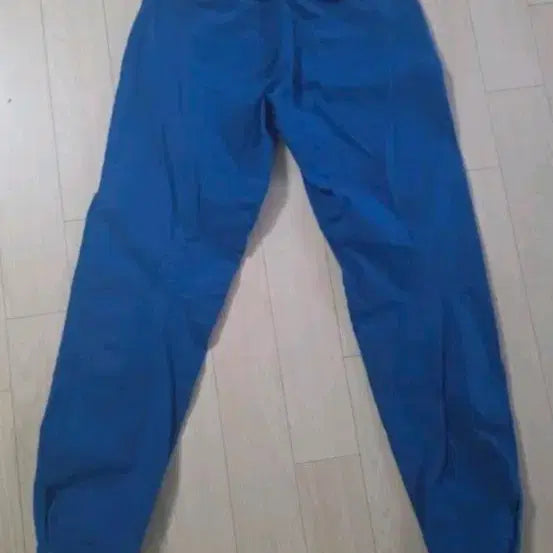 [BUNJANG] Patagonia Caliza Rock Blue Pants Size 4 / 파타고니아, 시착 1회