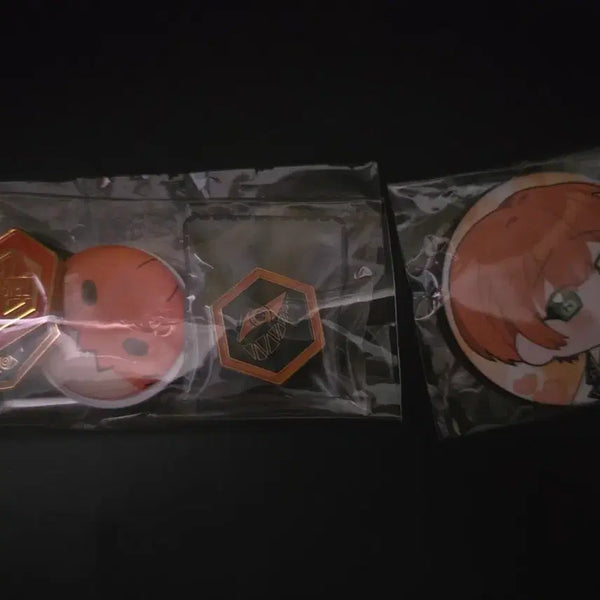 [BUNJANG] Le Ressolution Gemini Badge Set / 리레볼루션 제미니 벳지 세트