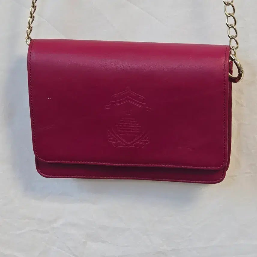 [BUNJANG] TheEvita Mini Crossbody Bag Raspberry Burgundy / 더에비타 미니 크로스백 라즈베리 버건디