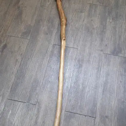 [BUNJANG] Rare Unique Walking Cane / 희귀한 세상에 하나뿐인 지팡이