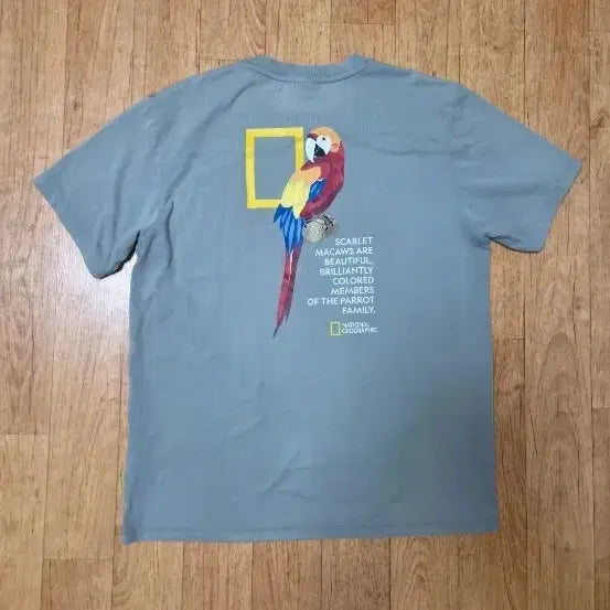 [BUNJANG] National Geographic Parrot Graphic T-Shirt / (정품) 내셔널지오그래픽 앵무새 그래픽 얇은 반팔티,105