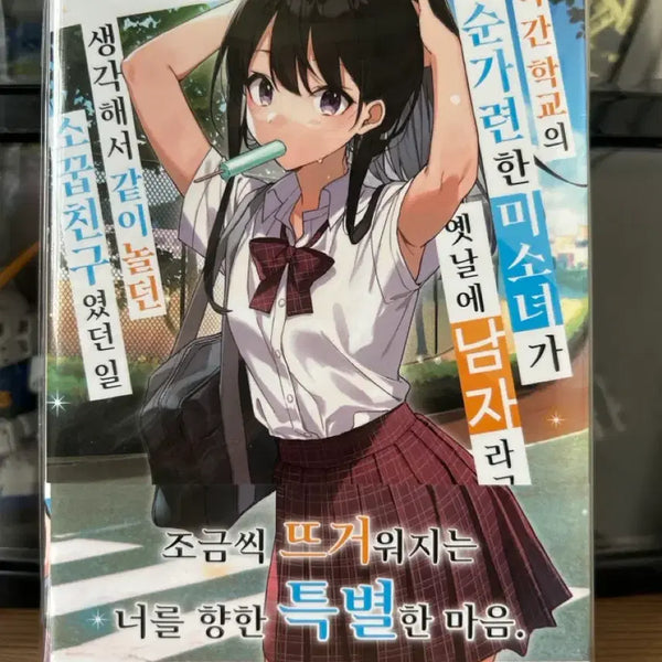 [BUNJANG] The Innocent and Beautiful Schoolgirl Transfer Student Vol. 2 Light Novel / 라노벨] 전학 간 학교의 청순가련한 미소녀 2 개봉