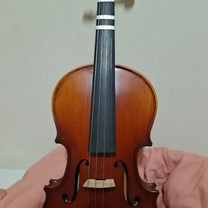 [BUNJANG] Maestro MN-100S Violin (1/2 Size) / 마에스트로 MN-100S 바이올린
