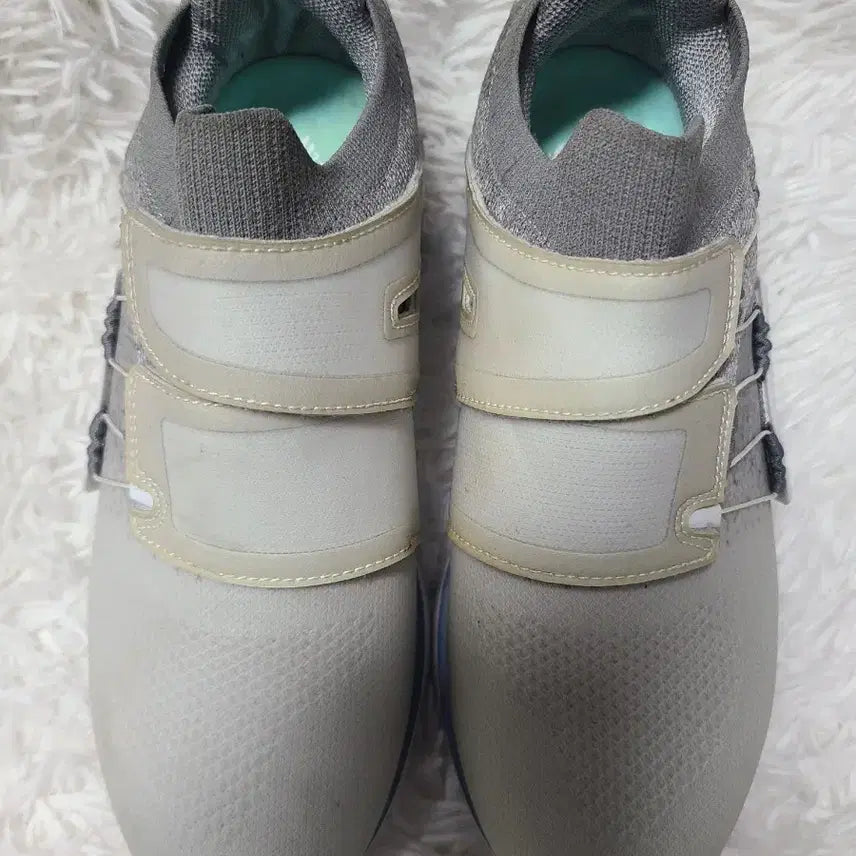 [BUNJANG] FootJoy Golf Shoes Size 240 Grey / 풋조이 골프화 240