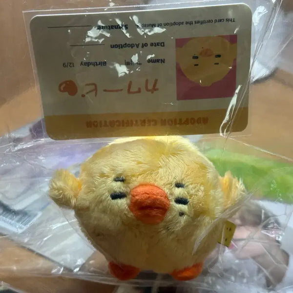 [BUNJANG] Enhypen Ni-ki Kawaii Plush / 엔하이픈 니키 인형 카와삐