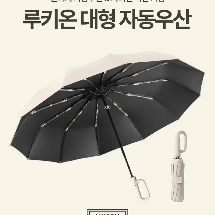 [BUNJANG] Rookion Large Automatic Umbrella / 루키온 대형 자동우산