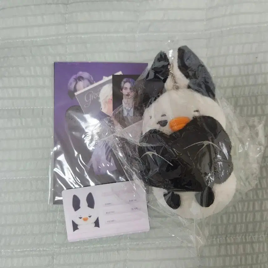 [BUNJANG] Enhypen Sunghoon Badge Kit Doll (Sealed) / 엔하이픈 니키 뱃키 인형(미개봉)