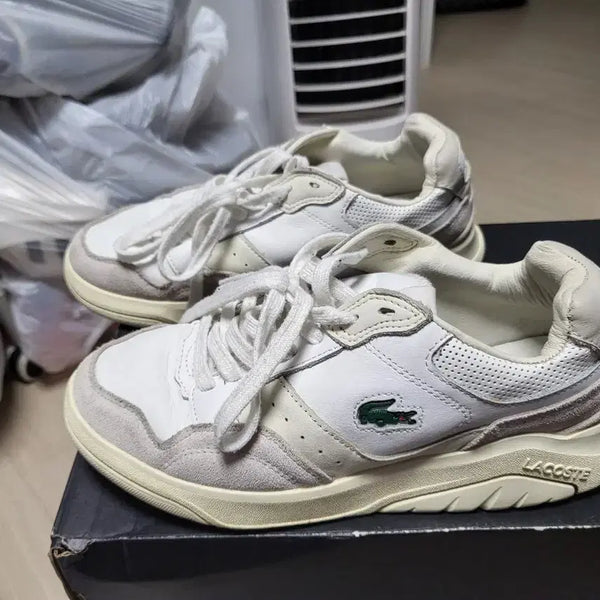 [BUNJANG] Lacoste White Sneakers UK 5 (Approx. 240mm) / 라코스테 스니커즈 흰색 UK5 240사이즈정도 상태매우좋음