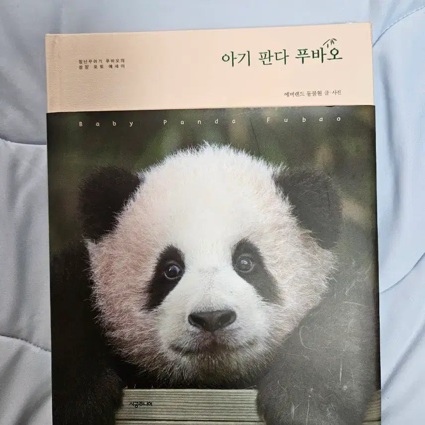 [BUNJANG] Fu Bao Baby Panda Photo Essay Book / 아기판다 푸바오 책 (포토에세이)