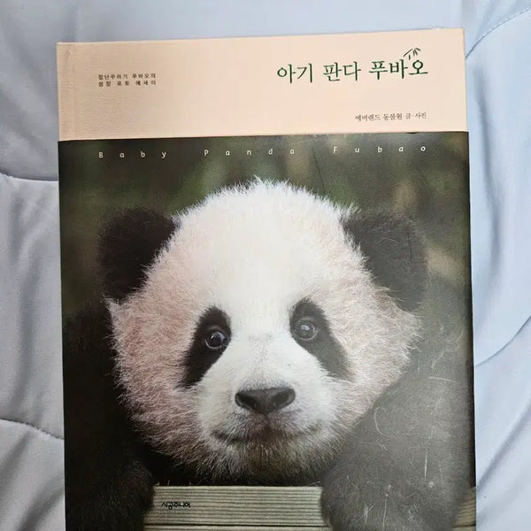 [BUNJANG] Fu Bao Baby Panda Photo Essay Book / 아기판다 푸바오 책 (포토에세이)