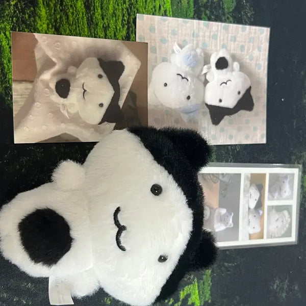 [BUNJANG] Wooi Cat Doll / 우이님 인형 고양이 양도합니다