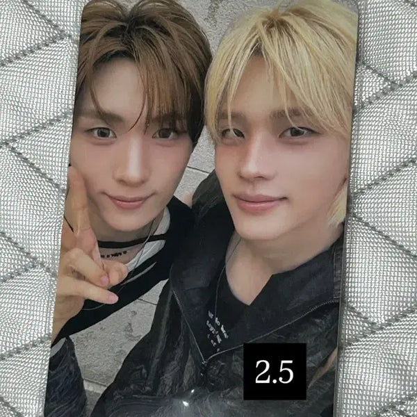 [BUNJANG] TWS Sided Zine Milk Breadz Photocard / 투어스 사이존 우유빵즈 포카