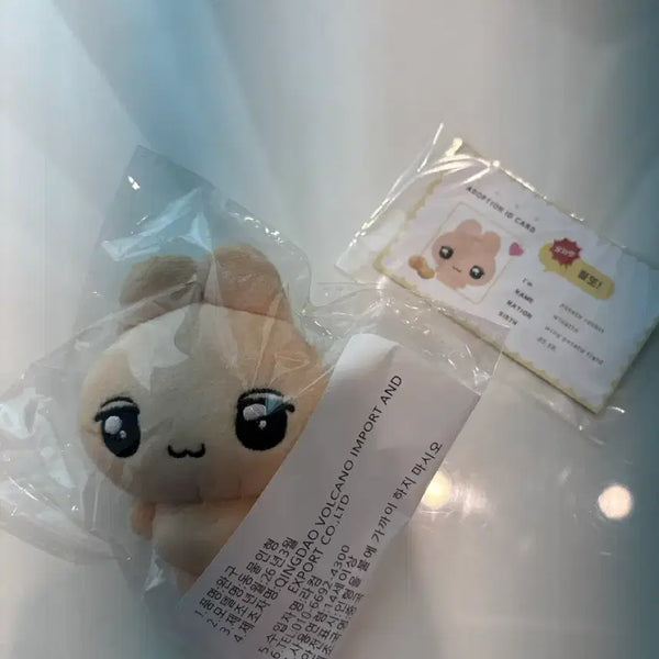 [BUNJANG] Park Jihoon Wingtto Doll / 원가이하)박지훈 인형 윙또 판매