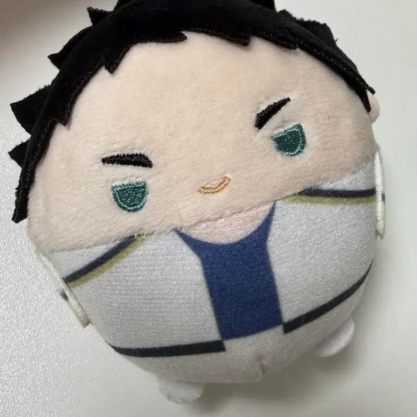 [BUNJANG] Haikyuu Akaashi Fuwakororin Plush / 하이큐 아카아시 후와코로링 인형