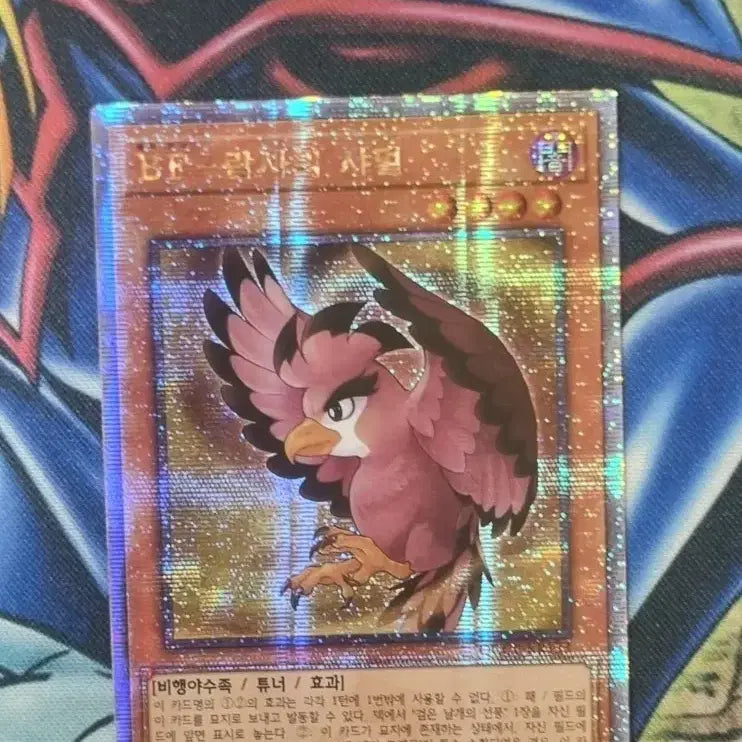 [BUNJANG] Yu-Gi-Oh! Korean BF-Ramses's Shamal QC Secret Rare QCCP-KR133 / 유희왕 한글판 BF-람사의샤멀 QC시크릿레어 QCCP-KR133