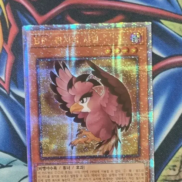 [BUNJANG] Yu-Gi-Oh! Korean BF-Ramses's Shamal QC Secret Rare QCCP-KR133 / 유희왕 한글판 BF-람사의샤멀 QC시크릿레어 QCCP-KR133