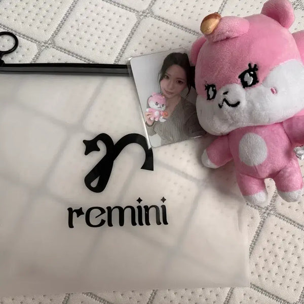 [BUNJANG] Resene Remini Zeromine Jenna Doll Bundle Set / 리센느 레미니 쩨로밍 제나 인형 양도