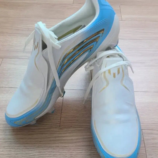 [BUNJANG] Adidas F50 Messi Ultimo Tango Soccer Cleats Size 270mm / (270)F50 messi ULTIMO TANGO 축구화 판매