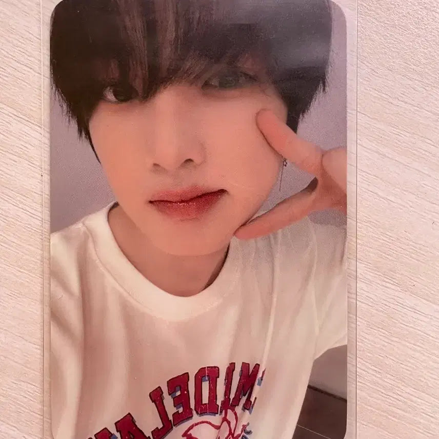 [BUNJANG] NCT WISH Sakuya Steady Soundwave Photocard / 엔시티위시 nctwish 사쿠야 스테디 steady 사웨 포카