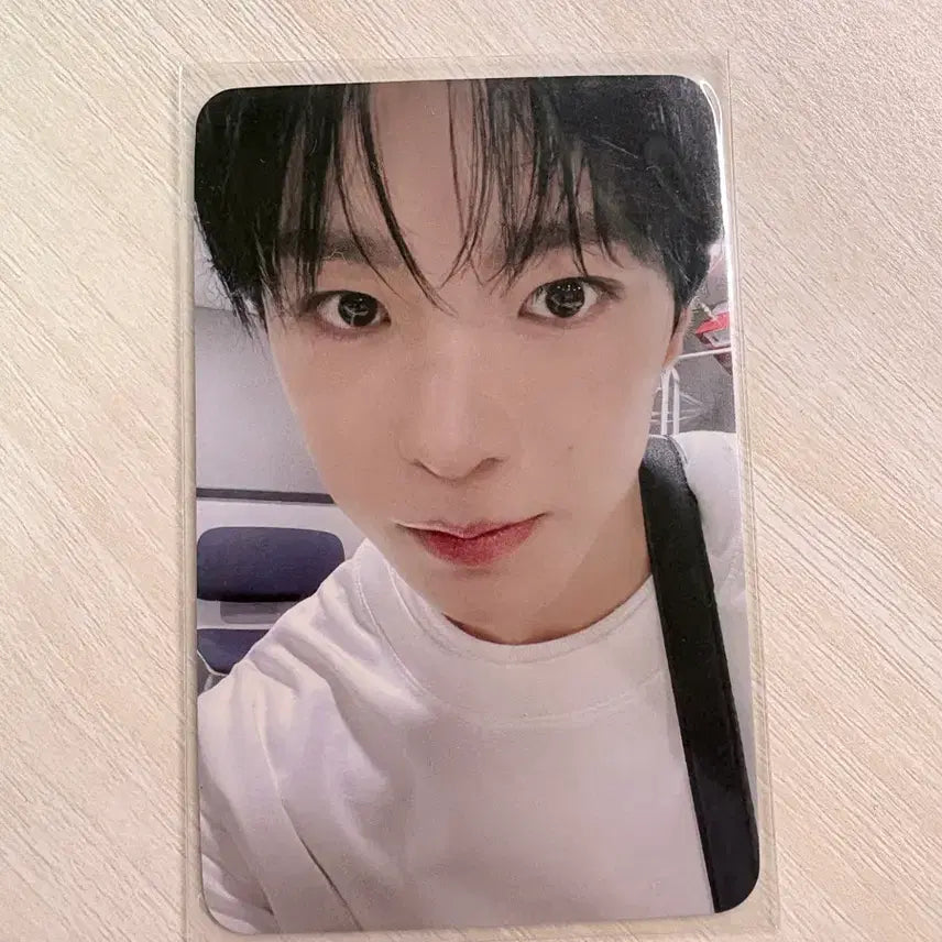 [BUNJANG] NCT WISH Yushi Songbird Photocard / 엔시티위시 nctwish 유우시 포카 송버드 사웨 songbird