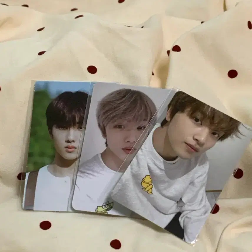 [BUNJANG] NCT DREAM Haechan Jisung Bundle Set Photocard / 엔시티드림 해찬 지성