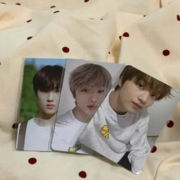 [BUNJANG] NCT DREAM Haechan Jisung Bundle Set Photocard / 엔시티드림 해찬 지성
