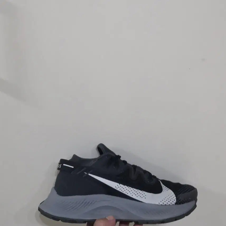 [BUNJANG] Nike Pegasus Trail 2 Dark Smoke Grey Running Shoes / [240] 나이키 페가수스 트레일2 다크스모크그레이