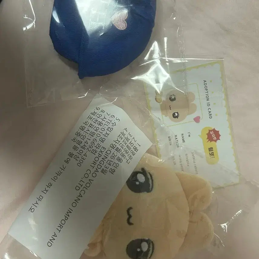 [BUNJANG] Park Ji Hoon Wing Tto Sealed Photocard / 박지훈 윙또 정가 양도