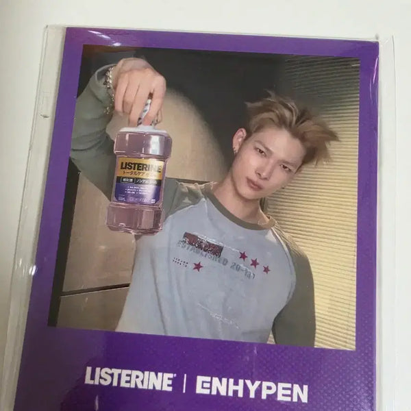 [BUNJANG] ENHYPEN Listerine Polaroid Set Bundle / 엔하이픈 리스테린 폴라로이드 세트 일괄