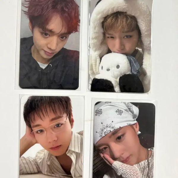 [BUNJANG] Park Ji Hoon Bannada Pochacco Glasses Special Edition Photocard Bundle Set / 일괄) 박지훈반나다포차코안경특전포카