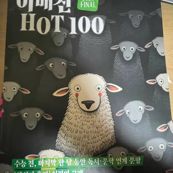 [BUNJANG] IMAGINE Hot 100 Final Hat / 이매진 hot 100 final