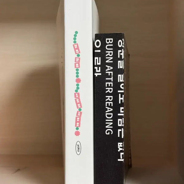 [BUNJANG] Nana and Riri / Burn After Reading Collection Books / 잼동 소장본 나나와리리 번애프터리딩