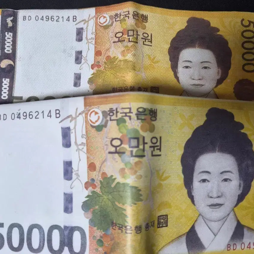 [BUNJANG] 50,000 Won Bill Design Card Holder / 오만원 지갑 오만원 디자인 카드지갑 선물용