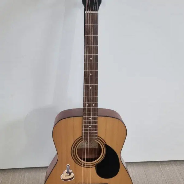 [BUNJANG] Colt AF510 Acoustic Guitar Bundle with Soft Case and Picks / 콜트 AF510 어쿠스틱 통기타+소프트케이스+피크
