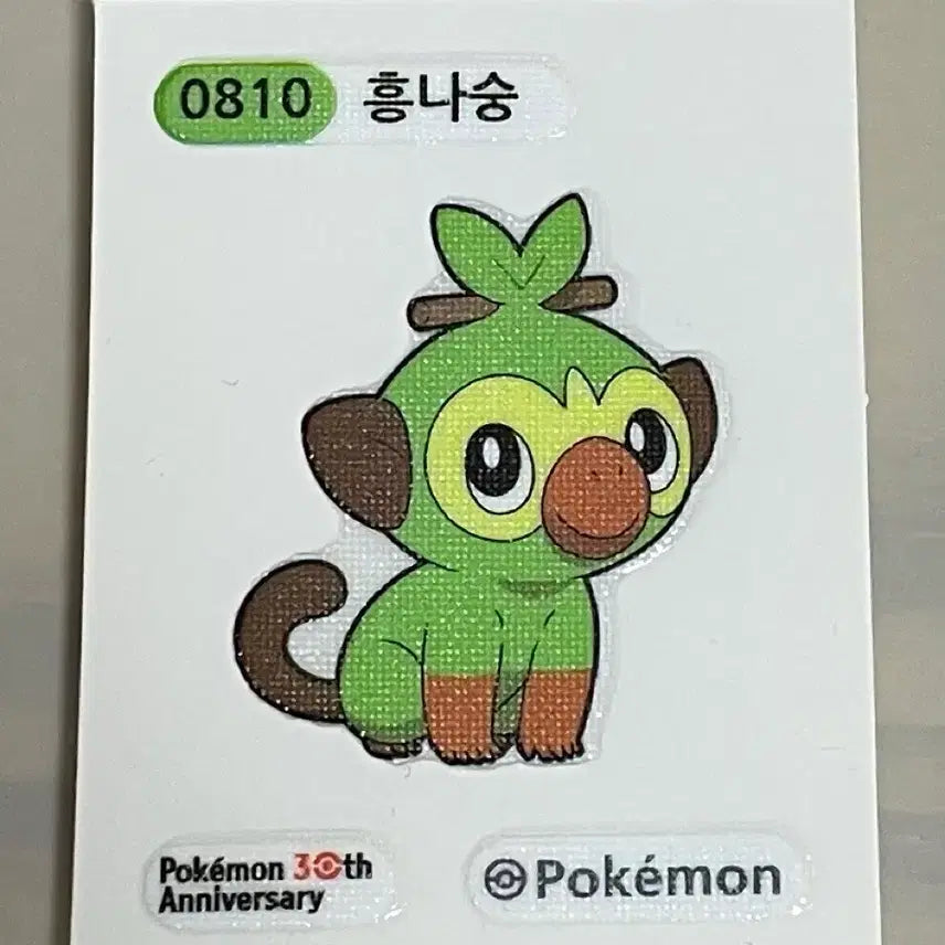 [BUNJANG] Pokemon Scraggy Full Body Sticker / 포켓몬 흥나숭 띠부씰