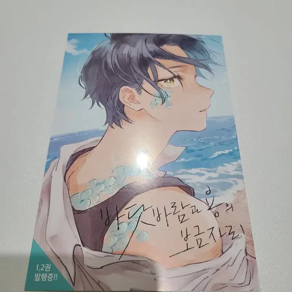 [BUNJANG] Sea Breeze and the Dragon's Nest Appendix Postcard Set / 바닷바람과 용의 보금자리 부록