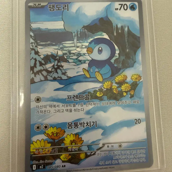 [BUNJANG] Pokemon Card Pendorri AR (SS Grade) / 팽도리 AR (SS급)