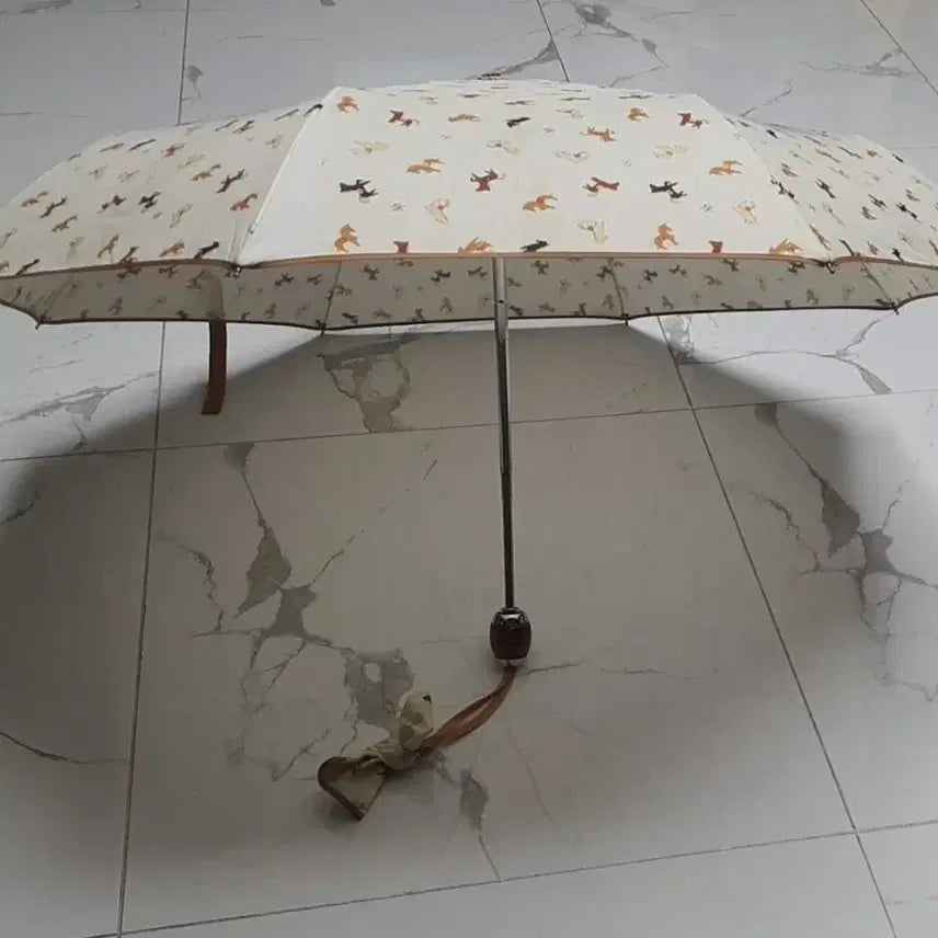 [BUNJANG] Arnold Palmer Automatic Folding Umbrella / 아놀드파마 자동 양산