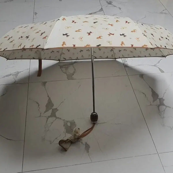 [BUNJANG] Arnold Palmer Automatic Folding Umbrella / 아놀드파마 자동 양산