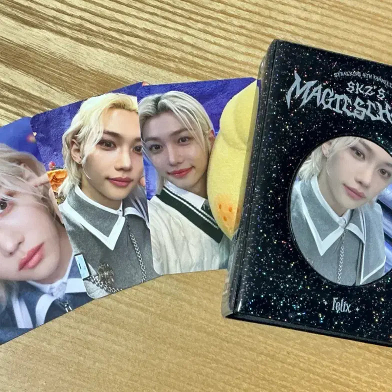 [BUNJANG] Stray Kids Goods / 스키즈 굿즈