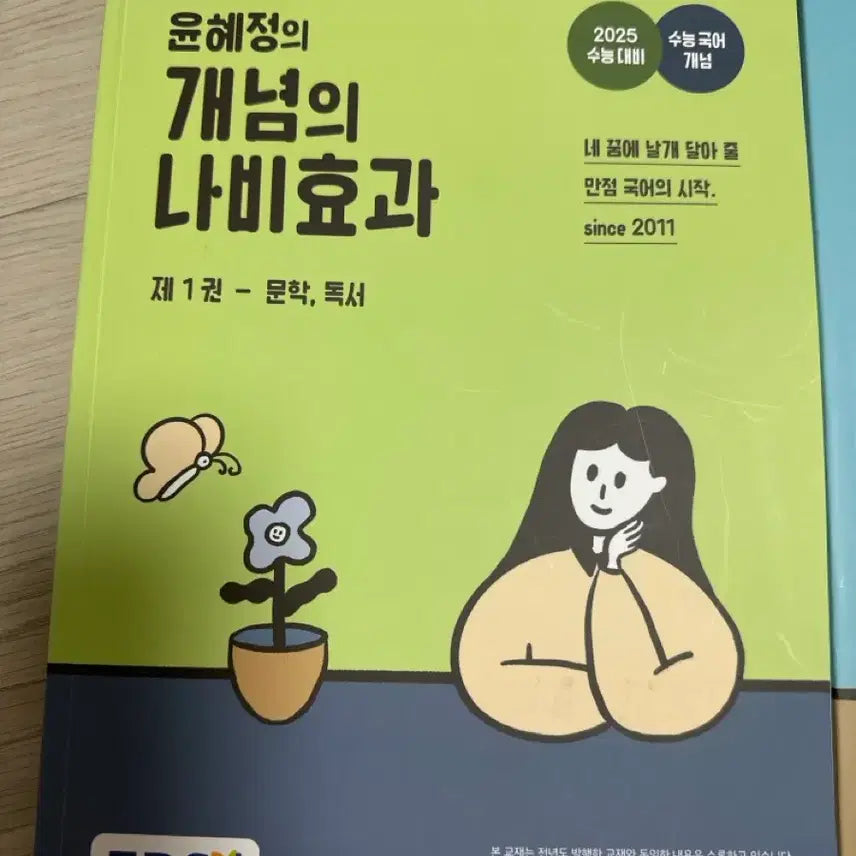 [BUNJANG] Yoon Hye-jung Concept's Butterfly Effect Volume 1, Volume 2, Workbook / 윤혜정 개념의 나비효과 1권, 2권, 워크북(새 책)