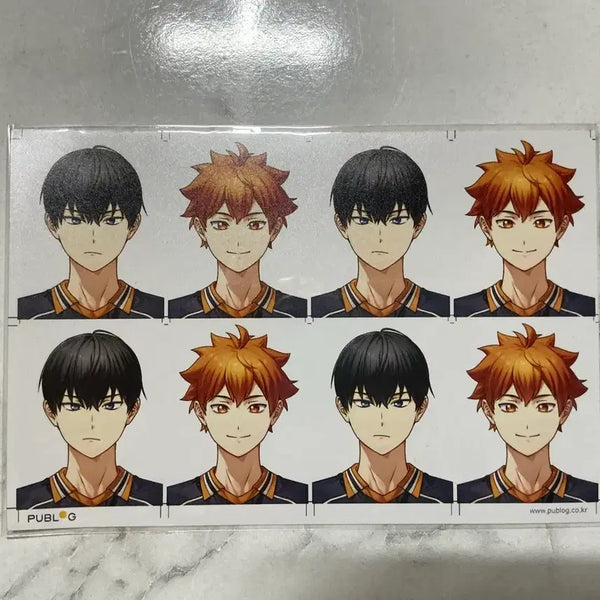 [BUNJANG] Haikyuu!! & Bungo Stray Dogs Unofficial Merchandise Set / 하이큐&문스독 비공식 굿즈 통판